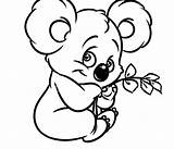 Koala Coloring Pages Baby Cute Color Drawing Eucalyptus Bear Leaves Animal Colouring Printable Koalas Line Clipartmag Getdrawings Character Print Illustration sketch template