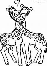 Giraffe Coloring Pages Color Animal Printable Kids Sheets Found Giraffes sketch template