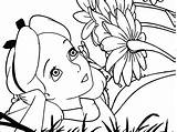 Wonderland Alice Coloring Pages Flowers Getdrawings Getcolorings sketch template