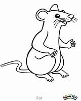 Rat Coloring Pages Outline Rats Cartoon Drawing Lab Gerbil Mouse Color Getcolorings Print Getdrawings Printable Coloringbay sketch template