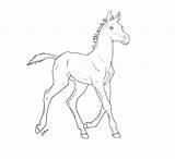 Foal Fohlen Pferde Lineart Kolorowanka Konabeun Konie Malvorlagen Fryzyjskie Foals sketch template