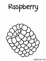 Raspberry Coloring Pages Worksheet Structure Sun Printable Template Worksheeto sketch template