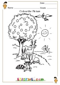 colour the nature kindergarten curriculamprintable worksheets for kids
