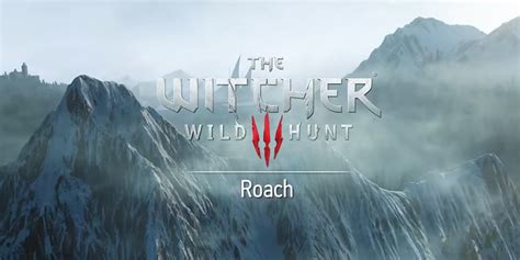the witcher 3 gets new roach dlc with pre order bonus