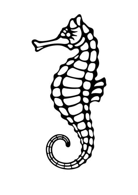 magical seahorse template   seahorse printables