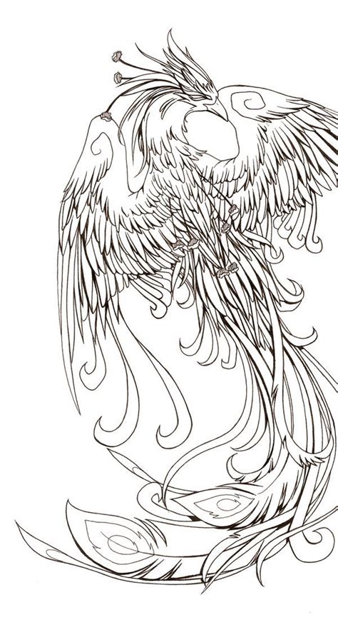 phoenix phoenix tattoo phoenix tattoo design tattoo designs