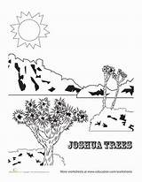 Tree Coloring Joshua National Park Color California Worksheets Read Ride Education Trip sketch template