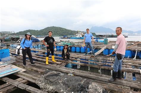 improving fish health  production  hong kong centre  applied  health research