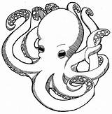 Coloring Pages Octopus Kids Printable sketch template