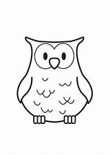 Uiltjes Uil Downloaden Owl sketch template