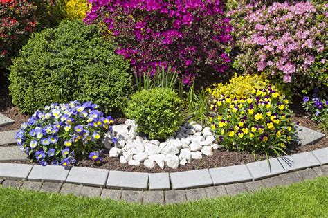 create beautiful flower beds honeysuckle nursery design