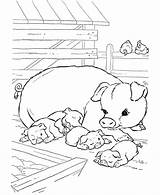 Coloring Pages Farm Pig Animal Pigs Kids Printable Animals Baby Sheets Print Color Adult Piglets Sheet Cute Horse Colouring Honkingdonkey sketch template