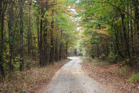 north louisiana country road   fall
