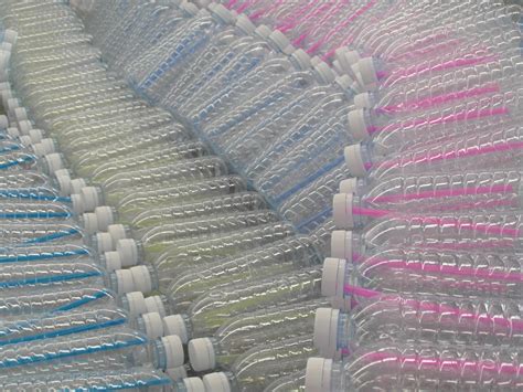 newly identified bacteria degrades common plastic