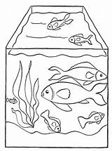Coloring Aquarium Fish Pages Advertisement sketch template