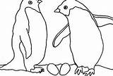 Penguin Adelie Designlooter sketch template
