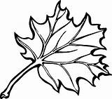 Leaf Coloring Pages Printable Coloringme sketch template