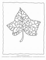 Leaf Coloring Blatt Letzte sketch template