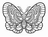 Butterfly Intricate sketch template
