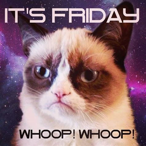 It S Already Friday No Way Grumpycat Cat Meme