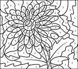 Color Number Coloring Pages Numbers Flower Printable Hard Flowers Printables Adult Gerbera Difficult Patterns Bogstaver Adults Tal Book Malebøger Books sketch template