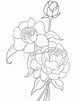Peony Coloring Pages Hydrangea Drawing Peonies Flower Outline Flowers Line Justpaintitblog Clusters Getdrawings Drawings Patterns Printable Kids sketch template