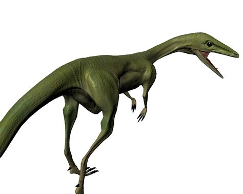 compsognathus compy dinosaur  model