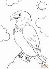 Eagle Coloring Cartoon Bald Drawing Pages Printable sketch template