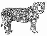 Tiger Coloring Chinese Zentangle Year 2022 Preview sketch template