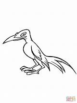 Magpie Bird Coloring Caricature Pages Supercoloring Color Designlooter Printable Categories sketch template