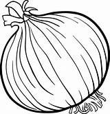 Onion Coloring Pages Vegetable Popular sketch template