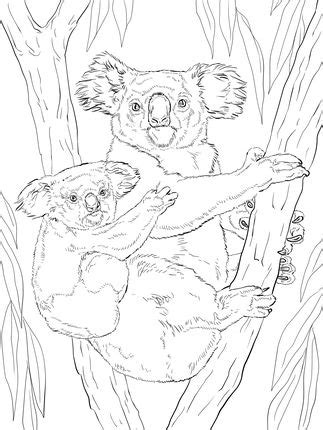 click   printable version  koala  baby coloring page adult