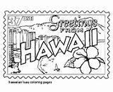 Luau Hawaiian Print sketch template