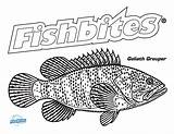 Fishbites sketch template