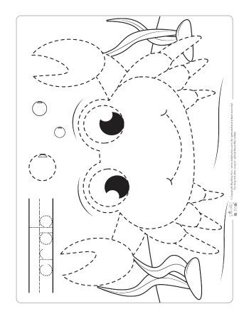 ocean animals tracing worksheets itsybitsyfuncom