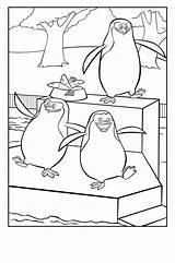 Madagascar Pinguinos Penguins Ausmalbild Cliparts Buscando Tal Estés Ausmalbilder sketch template