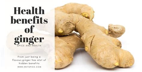 amazing health benefits of ginger knitspice