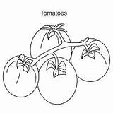 Coloring Tomatoes Pages Fruits Vegetables Carrot Garnet Fruit sketch template