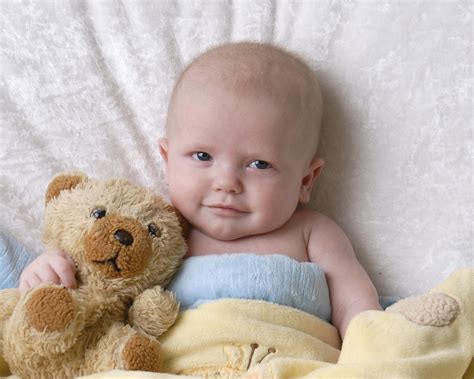 month baby photograph  boy holding stuffed animal cleary creative