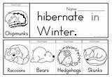 Coloring Pages Hibernation Animals Hibernating Preschool Winter Hibernate Kindergarten Words Theme Animal Worksheets Sheet Activities Science Do Color Sheets Kids sketch template