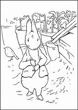 Rabbit Peter Coloring Pages Movie Site Coloring2print sketch template