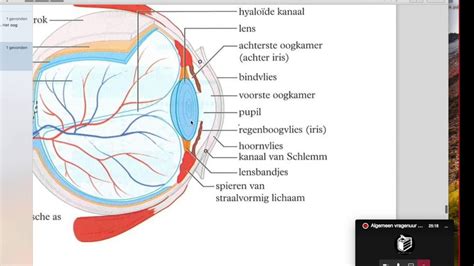 het oog youtube