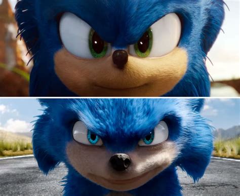 fans fawn  updated sonic  hedgehog character design good