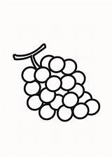 Grapes Coloring Pages Fruit Nutrious Grape Color Food sketch template