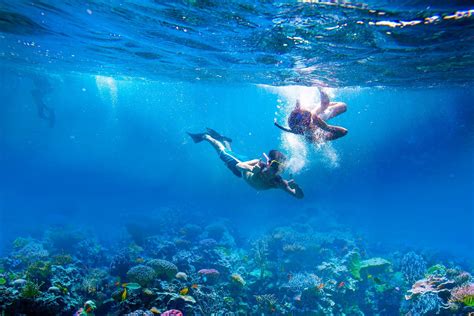 top   places  snorkel  turks caicos beaches