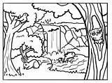 Foret Woodland Jungle Bestcoloringpagesforkids Ancenscp Clipartmag Deciduous sketch template