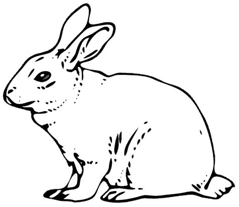 rabbit  drawing  getdrawings