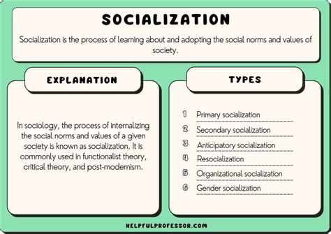 socialization  sociology definition types  examples