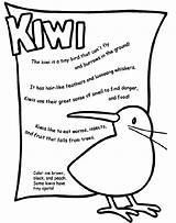 Kiwi Coloring Pages Color Bird Crayola Birds Animal Print Fly Kids Tiny Animals Cannot Facts Crafts Printable Popular Choose Board sketch template