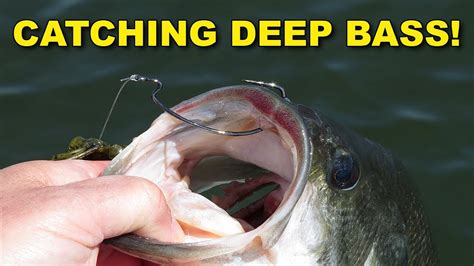 The Key To Catching Bass In Deep Water This Works How To Bass